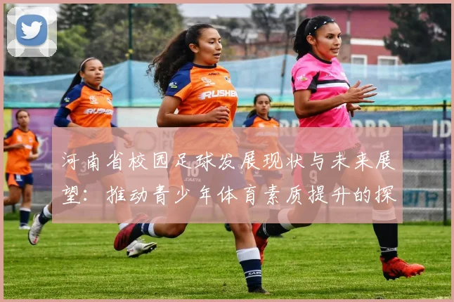 河南省校园足球发展现状与未来展望：推动青少年体育素质提升的探索之路
