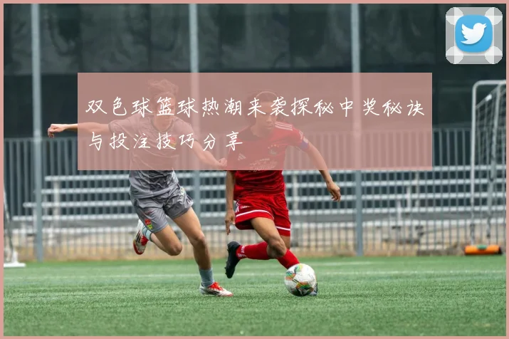 双色球篮球热潮来袭探秘中奖秘诀与投注技巧分享