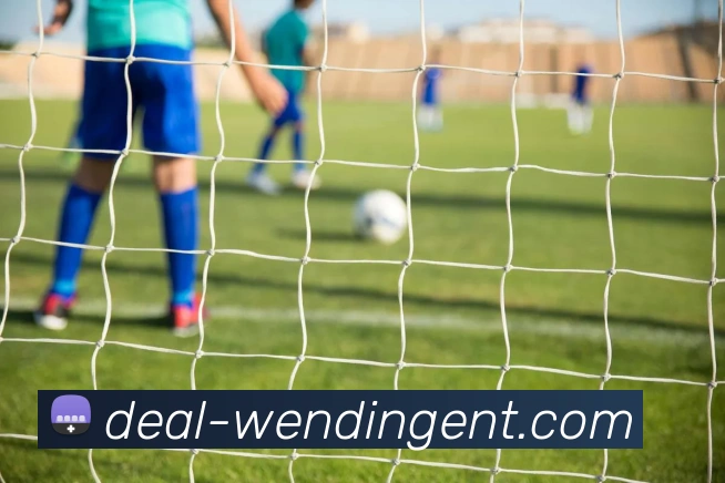 WENDING中国官网APP 体育赛事宣传图